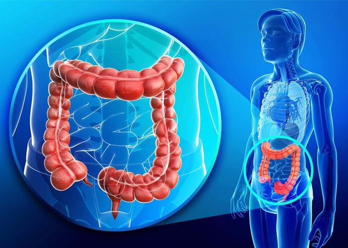 Kolonoskopi Korkunuzu Yenin: İşlem Hakkında Bilmeniz Gerekenler